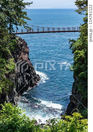 春の城ヶ崎海岸(静岡県) 春の城ヶ崎海岸(静岡県) 114761122