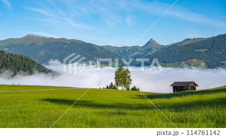 Alpine mountain landscape with green meadows, rural hayloft and Grosser Rettenstein Mountain on background. Sunny morning with weather inversion in the valley. Kitzbueheler Alps, Austria 114761142
