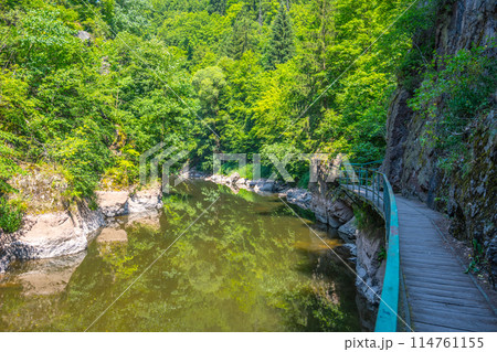 Wooden bridge pathway above Jizera River. Rieger Trail between Semily and Spalov. Czechia 114761155