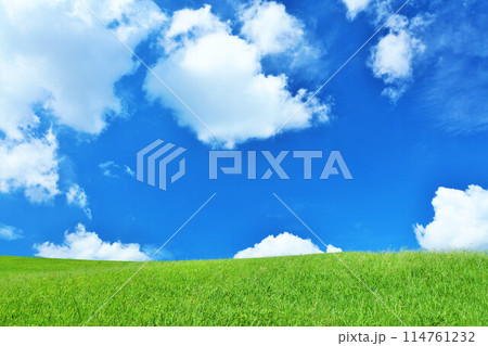 爽やかな夏の青空と新緑の草原風景 爽やかな夏の青空と新緑の草原風景 114761232