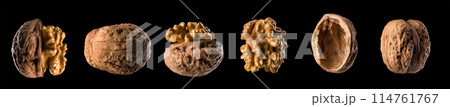 Macro photo of empty shell of walnut isolated on a black with clipping path Macro photo of empty shell of walnut isolated on a black with clipping path 114761767