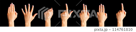 Set of woman hands showing different gestures, pointing and showing signs 114761810