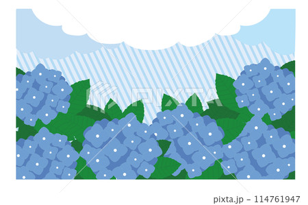 紫陽花の花と雲フレーム 紫陽花の花と雲フレーム 114761947