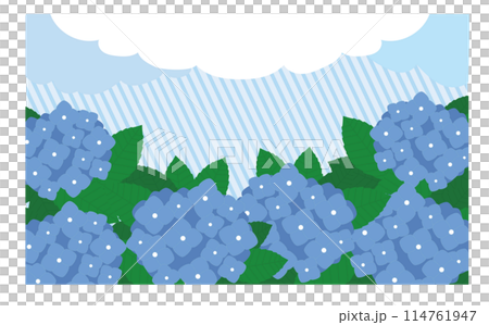 紫陽花の花と雲フレーム 紫陽花の花と雲フレーム 114761947