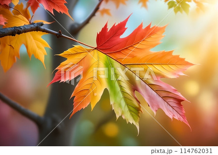 colorful bright foliage in pastel colors 114762031