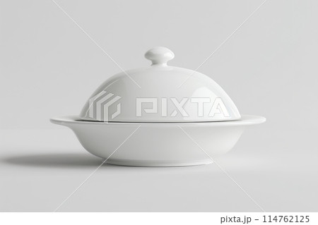 Waiter hand holding white ceramic cloche or tray on plane background 114762125