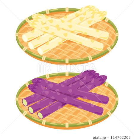 ザルに盛られたホワイトアスパラガスと紫アスパラガスセット 114762205