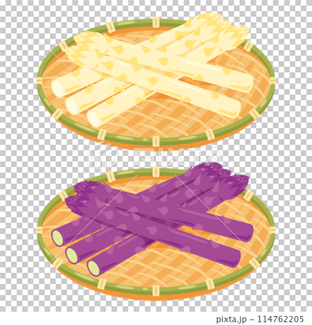 ザルに盛られたホワイトアスパラガスと紫アスパラガスセット 114762205