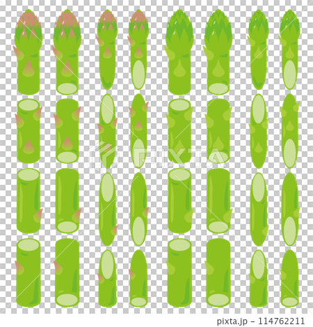 Cut Asparagus Set 114762211