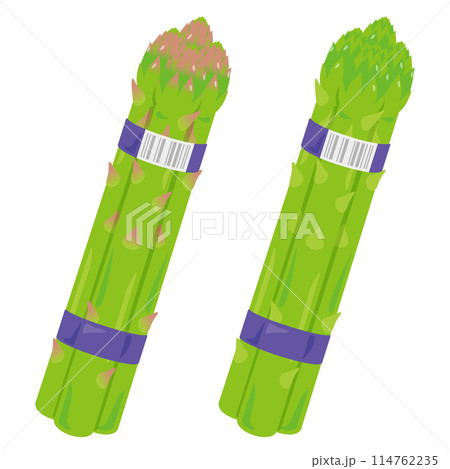 束になったアスパラガスセット 束になったアスパラガスセット 114762235