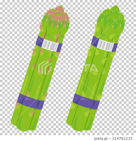 束になったアスパラガスセット 束になったアスパラガスセット 114762235