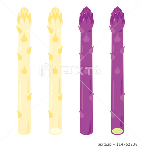 ホワイトアスパラガスと紫アスパラガスセット 114762238