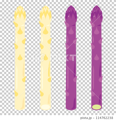 ホワイトアスパラガスと紫アスパラガスセット 114762238