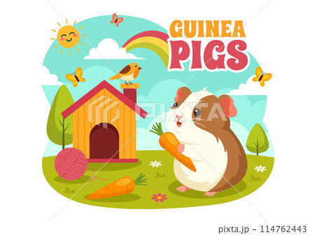 Guinea Pig Vector Illustration Featuring Various Hamster Breeds in Green Fields in a Flat Cute kids Cartoon Style Background Design 114762443