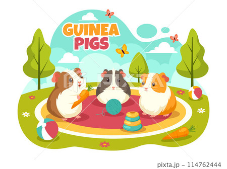 Guinea Pig Vector Illustration Featuring Various Hamster Breeds in Green Fields in a Flat Cute kids Cartoon Style Background Design 114762444
