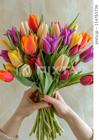 A woman tender grasp cradles a vivid array of tulips 114763736