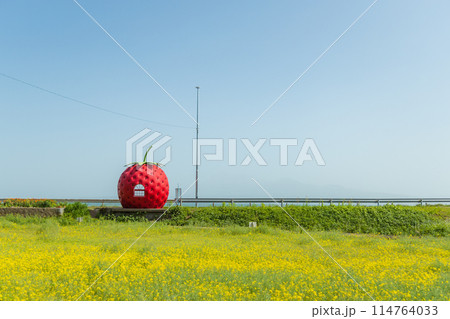 フルーツバス停 イチゴのバス停【長崎県諫早市小長井町】 114764033