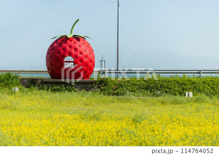 フルーツバス停 イチゴのバス停【長崎県諫早市小長井町】 フルーツバス停 イチゴのバス停【長崎県諫早市小長井町】 114764052
