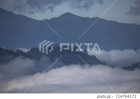 Early morning landscape. Colorful sunrise on a foggy day over mountains and a forest. 114764172