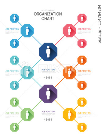 Infographic template for organization chart with business avatar icons. vector infographic for business. Infographic template for organization chart with business avatar icons. vector infographic for business. 114764204