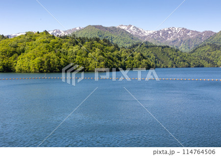 矢木沢ダムから眺める初夏の奥利根湖　群馬県みなかみ町 114764506