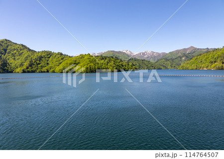 矢木沢ダムから眺める初夏の奥利根湖　群馬県みなかみ町 114764507