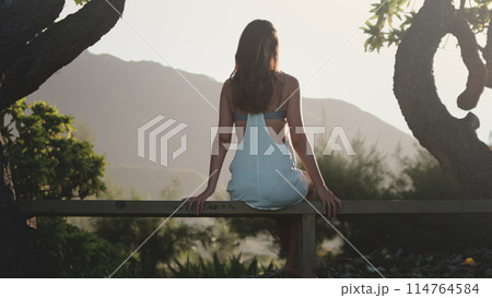 A woman wearing a blue dress sits on a wooden bench in a park. She gazes off into the distance, her hands resting on her thighs. The bench is surrounded by greenery, adding a touch of nature to scene A woman wearing a blue dress sits on a wooden bench in a park. She gazes off into the distance, her hands resting on her thighs. The bench is surrounded by greenery, adding a touch of nature to scene 114764584