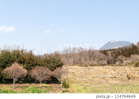 赤城山と冬木 114764649