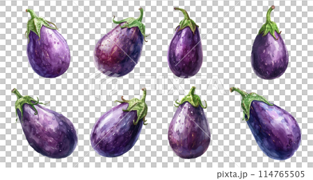 Watercolor eggplant set 114765505