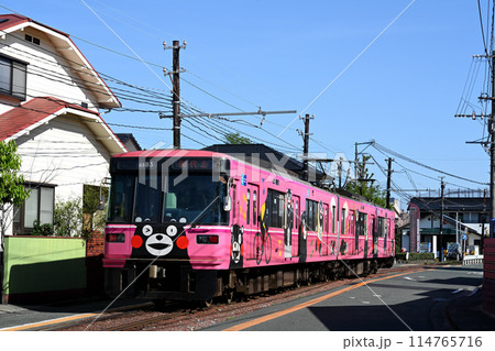 街中を走る熊本電鉄 114765716