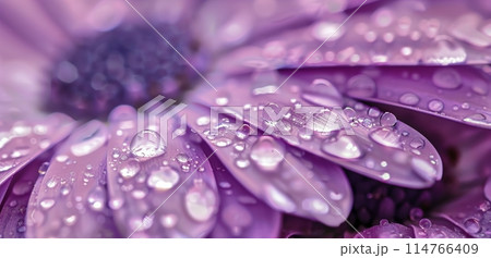 Purple Flower With Water Droplets 114766409