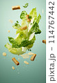 A Caesar salad with lettuce, croutons, and dressing is floating through the air 114767442