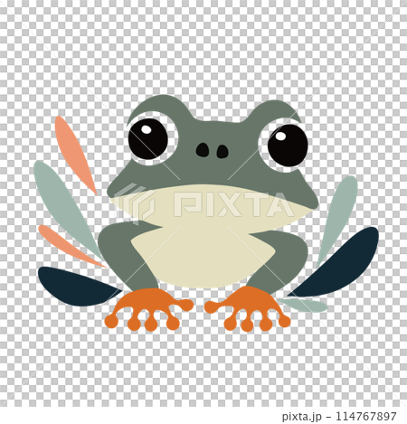 かわいいカエルのイラスト 114767897