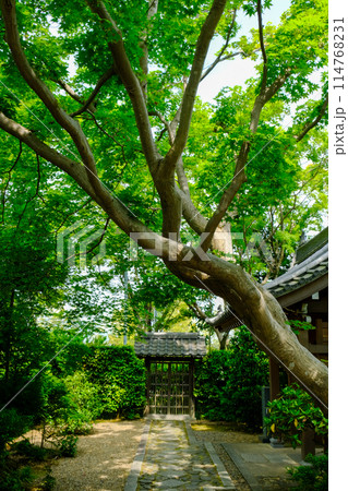 鷹峯源光庵 114768231