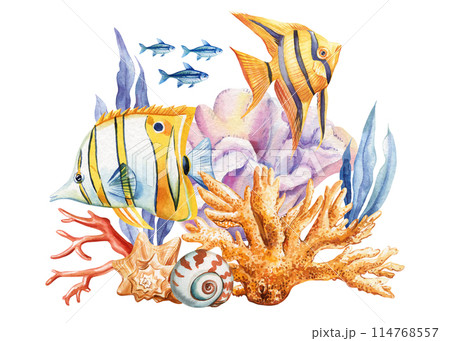 Sea fish. Animals underwater sea watercolor painting. fish, starfish, seaweed and coral Isolated. Marine concept, poster 114768557