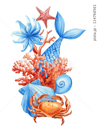 Animals underwater sea watercolor painting. Crab, mermaid fish, starfish and coral Isolated. Wildlife marine concept. 114768561
