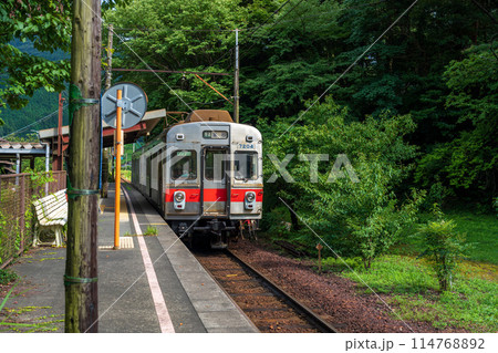 大井川鉄道の東急電車7200系列車 114768892