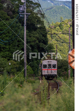 大井川鉄道の東急電車7200系列車 大井川鉄道の東急電車7200系列車 114768904