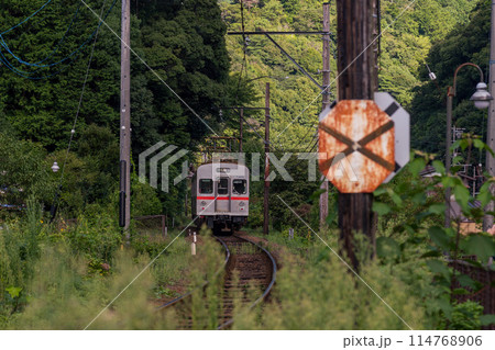 大井川鉄道の東急電車7200系列車 114768906