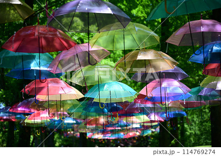 アンブレラスカイ　甘楽総合公園（かんらDEアンブレラスカイ） 114769274