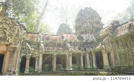自然と寺院の融合、タプローム遺跡【カンボジア・シェムリアップ】 自然と寺院の融合、タプローム遺跡【カンボジア・シェムリアップ】 114769453