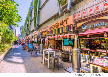 日本の東京都市景観 5月・新緑の季節を迎えた渋谷駅前の渋谷横丁などを望む。外国人らの姿も=17日 日本の東京都市景観 5月・新緑の季節を迎えた渋谷駅前の渋谷横丁などを望む。外国人らの姿も=17日 114769788