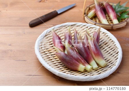 新鮮なみょうが (木目背景) 114770180
