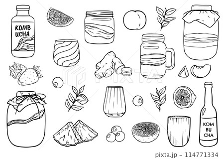 Kombucha tea and ingredients. Kombucha sketch. Ingredients for homemade fermented tea. Kombucha drink. Tea mushroom, tea fungus Hand drawn vector illustration. 114771334