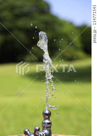 公園の水道 114771541