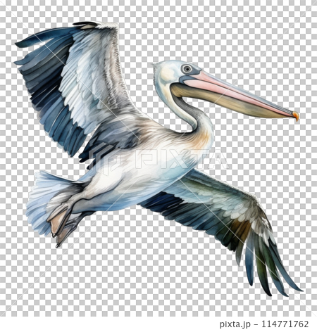 Pelican, Bird Illustration. Watercolor Style. AI Generated 114771762