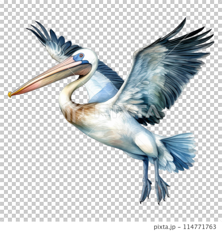 Pelican, Bird Illustration. Watercolor Style. AI Generated 114771763