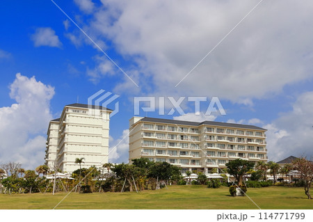 ANAインターコンチネンタル石垣リゾートの庭 114771799