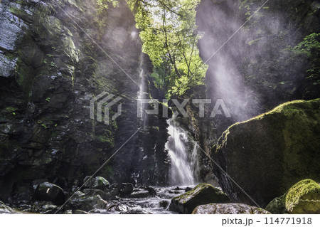 スッカン沢 雄飛の滝 新緑と光芒 スッカン沢 雄飛の滝 新緑と光芒 114771918