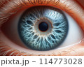 blue eye with blue eyes 114773028
